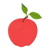 vermelho suculento maduro maçã com verde folha. mão desenhado vermelho maçã na moda plano estilo isolado em branco. maçã colheita. saudável vegetariano lanche, cortar maçã para projeto, infográfico ilustração vetor