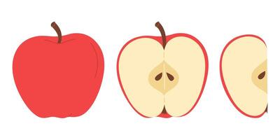 vermelho suculento maçã mão desenhado definir. todo, metade, fatia do fresco vermelho maçã fruta. coleção do todo maçãs e fatiado maçãs na moda plano estilo isolado em branco ilustração vetor