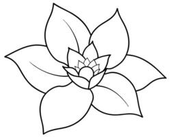 flor de lótus isolada no fundo branco vetor