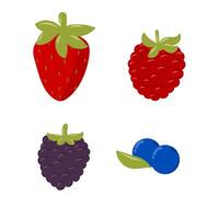 baga fruta clipart coleção conjunto gráfico ilustração. morango, mirtilo, framboesa, e Amora vetor