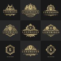 luxo logotipos monogramas crista Projeto modelos conjunto ilustração vetor