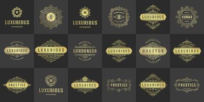 vintage logotipos modelos definir, floresce caligráfico elegante enfeites quadros e fronteiras vetor