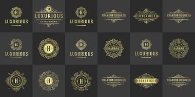 vintage logotipos e monogramas conjunto elegante floresce linha arte gracioso enfeites vitoriano estilo modelo Projeto vetor