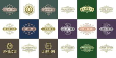 vintage logotipos modelos definir, floresce caligráfico elegante enfeites quadros e fronteiras vetor