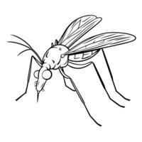 lustroso mosquito esboço ícone para pragas ao controle gráficos. vetor