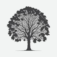 impressão majestoso silhueta do a Butternut árvore, uma Eterno natural beleza vetor