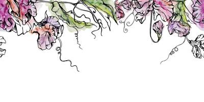 mão desenhado aguarela tinta ilustração botânico flores folhas. doce eterno ervilha, ervilhaca trepadeira leguminosa. desatado bandeira isolado em branco fundo. Projeto casamento, amor cartões, floral fazer compras vetor