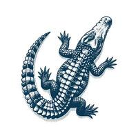 livre crocodilo ilustração vetor