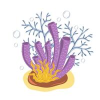 corais e algas marinhas. botânico ilustração vetor