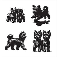 Affenpinscher cachorro silhueta ícone gráfico logotipo Projeto vetor