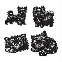 Affenpinscher cachorro silhueta ícone gráfico logotipo Projeto vetor