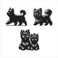 Affenpinscher cachorro silhueta ícone gráfico logotipo Projeto vetor