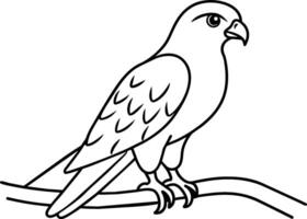 ilustração de um pássaro vetor