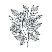 uma desenhando do rosas em uma branco fundo vetor