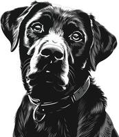 labrador retriever cachorro clipart, labrador retriever Preto vetor