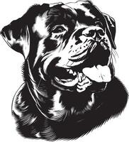 rottweiler cachorro clipart, rottweiler Preto vetor