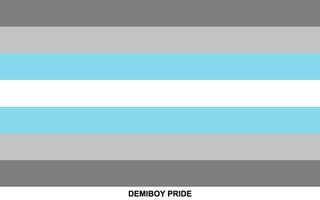 bandeira do demiboy orgulho, demiboy orgulho bandeira vetor