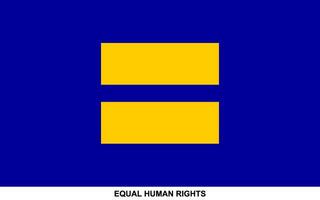 bandeira do igual humano direitos , igual humano direitos bandeira vetor