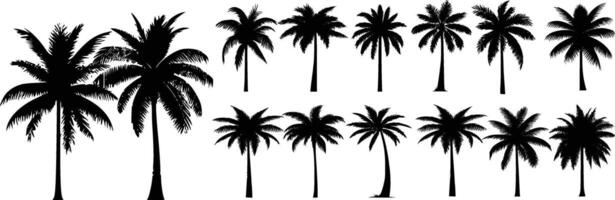 conjunto de silhuetas de palmeiras vetor