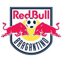 vermelho touro Bragantino brasileiro futebol equipe vetor