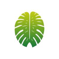 verde folha ícone. elementos Projeto para natural, eco, vegano, bio etiquetas vetor