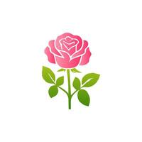 Rosa rosa flores, floral decorado com linda multicolorido florescendo flores e folhas fronteira. Primavera botânico plano ilustração em branco fundo vetor