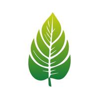 verde folha ícone verde. elementos Projeto para natural, eco, vegano, bio etiquetas vetor