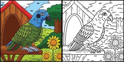pionus papagaio pássaro coloração página ilustração vetor