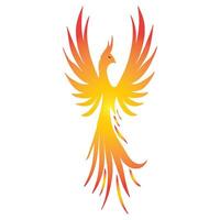 Fénix fogo pássaro logotipo modelo vetor