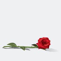 ramalhete do vermelho rosa flor isolado em luz cinzento fundo minimalista gráfico ilustração ter em branco espaço. vetor