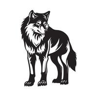 Lobo imagem. Lobo Preto e branco isolado em branco vetor