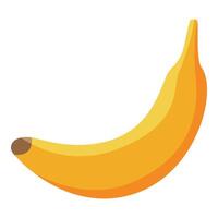 gráfico do uma maduro, solteiro banana em uma branco fundo vetor
