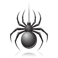 Emblema de aranha preta vetor