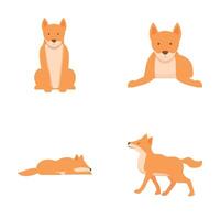 cachorro dingo ícones conjunto desenho animado . australiano selvagem cachorro dingo vetor