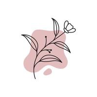 modelo de logotipo botânico de vetor em desenho de mão elegante e estilo minimalista. flor de objeto isolado. para emblemas, logotipos e marcas