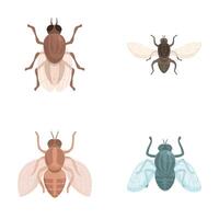 conjunto do desenho animado vôo insetos ilustrações vetor