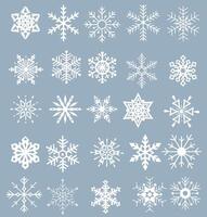 fofa flocos de neve coleção isolado em azul fundo. uma agradável elemento para Natal bandeiras, cartões. conjunto do orgânico e geométrico flocos de neve. vetor
