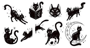 mágico místico Preto gatos, animal silhuetas vetor