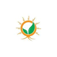 planta folha raiz solo sol plantação símbolo logotipo vetor
