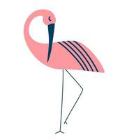 flamingos. personagens de pássaros exóticos tropicais cor de rosa. mão dos desenhos animados desenhar ilustração vetorial. vetor