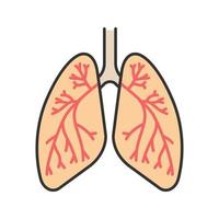 pulmões humanos com ícone de cor de brônquios e bronquíolos. anatomia do sistema respiratório. ilustração vetorial isolada vetor