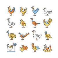 aves de fazenda para aves domésticas conjunto de ícones de cores rgb. pássaros domésticos. criação de patos e gansos. criação comercial de aves para carne e ovos. ilustrações vetoriais isoladas. coleção de desenhos de linhas simples preenchidos vetor