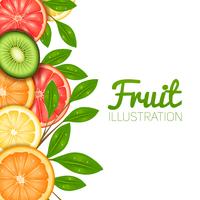Ilustração de frutas de verão