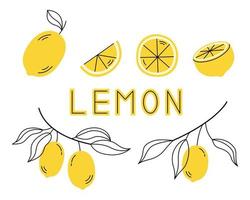 conjunto de frutas frescas de limão com folhas. ilustração vetorial isolada em um fundo branco. vetor