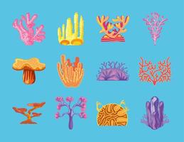 definir corais tropicais vetor