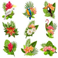 Conjunto de pictogramas de pássaros e flores tropicais vetor