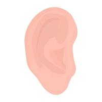 conceitos de ouvido externo vetor