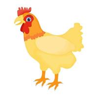conceitos de galinha modernos vetor
