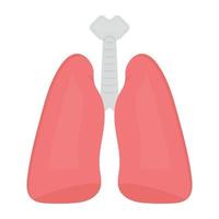 conceitos de sistema respiratório vetor