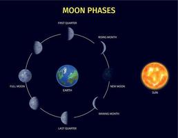 conjunto de infográfico de fases da lua vetor